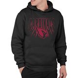 Junk Food Clothing x NFL Team Spotlight Hoodie