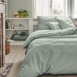 Bedlaken Essix - Tout Doux - Effen katoenen laken 180 x 290 cm Aloë Vera groen
