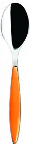 Guzzini Fratelli Feeling lepel - ABS/SAN/roestvrij staal AISI 304 (18/10) - 8008392133407