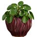 Mica Decorations Planten / bloempot Thom - bordeaux rood - keramiek - 17 x 22 cm