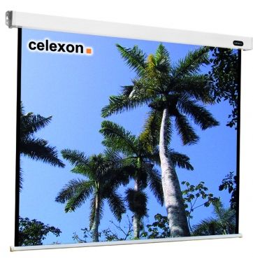 Celexon 1090086 - Projectiescherm - 160 x 160 cm - 1:1 - Zwart/Wit