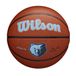 Wilson NBA Team Alliance Memphis Grizzlies Basketbal Bal Bruin 7