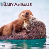 Baby BrownTrout Publishers Baby Animals 2027 16-Monatskalender