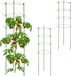 Relaxdays Tomatensteun Set van 3