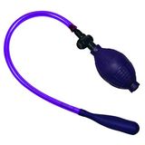 Paarse Anaal Ballon