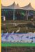Chronicles Libri GmbH Chronicles of Google I/O 2026: Compendium of Voices, Reflections, Learnings, and Trends in Google Technologies and Services