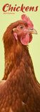 Chickens Slim Hardcover