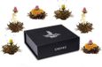 Creano Theebloemen set in cadeauverpakking - Zwarte thee - 6 stuks