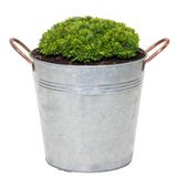Mega Collections Emmer/plantenpot/bloempot Jean - zink - zilver - D25 X H21 cm