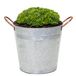 Mega Collections Emmer/plantenpot/bloempot Jean - zink - zilver - D25 X H21 cm