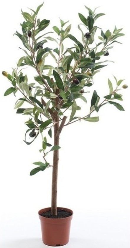 Bellatio Flowers & Plants Kunstplant groene olijfboom 65 cm in betonlook pot