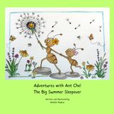 Adventures With Ant Chel: The Big Summer Sleepover