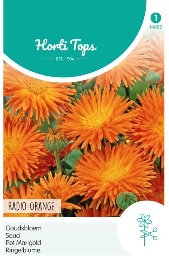 Hortitops Zaden - Calendula Officinalis Cactusbl. Radio Oranje