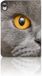 B2Ctelecom Flip Case iPad (2022) 10.9 Britse Korthaar