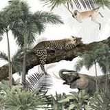 Jungle Animals Papier peint panoramique - 255 cm x 255 cm