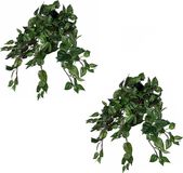 Mica Decorations Scindapsus Drakenklimop Kunstplant - Groen - L45 x H25 cm - 2 stuks