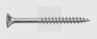 SWG Houtschroef 6 mm x 100 mm Verzinkt Staal Torx 100 stuks