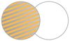 Lastolite Circular Reflector 96,5 cm (38") Oranje, Wit
