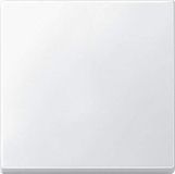 Merten 434119 - Buttons - White - Duroplast - 1 pc(s)