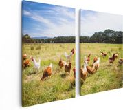 Artaza Canvas Schilderij Tweeluik Kippen in het Gras - 80x60 - Canvas Print