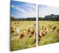 Artaza Canvas Schilderij Tweeluik Kippen in het Gras - 80x60 - Canvas Print