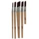 Coral 33749 Aspire 5-delige Schuine Voering Fitch Penseelset