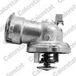 CALORSTAT by Vernet Vernet Thermostat, Liquide De Refroidissement Calorstat By Vernet Th7285.92j 6422001915
