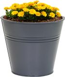 Mega Collections plantenpot/bloempot Bob - zink - antraciet - D15 X H13 cm