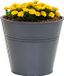 Mega Collections plantenpot/bloempot Bob - zink - antraciet - D15 X H13 cm