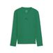 PUMA Unisex Teamgoal Baselayer Tee Ls Jr. Performance Tee