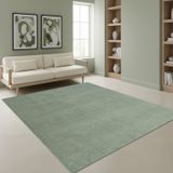 TapisTrend Harig tapijt Groen 120x160 cm