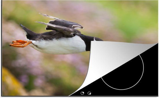 KitchenYeah® Inductie beschermer 77x51 cm - Een duikende papegaaiduiker - Inductie beschermer voor kookplaat