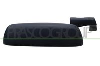 PRASCO Türgriff FT1328204 vorne links | Compatibel met: FIAT PUNTO