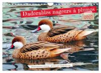 D'adorables CALVENDO D'adorables nageurs à plumes (Calendrier mural 2027 DIN A4 vertical), CALVENDO calendrier mensuel