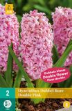 JUB - Hyacinthus dubbel roze