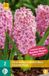 JUB - Hyacinthus dubbel roze