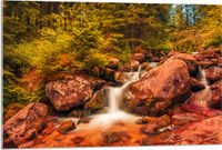 Merkloos / Sans marque Acrylglas - Waterval in het Bos - 90x60 cm - Wanddecoratie op Acrylaat