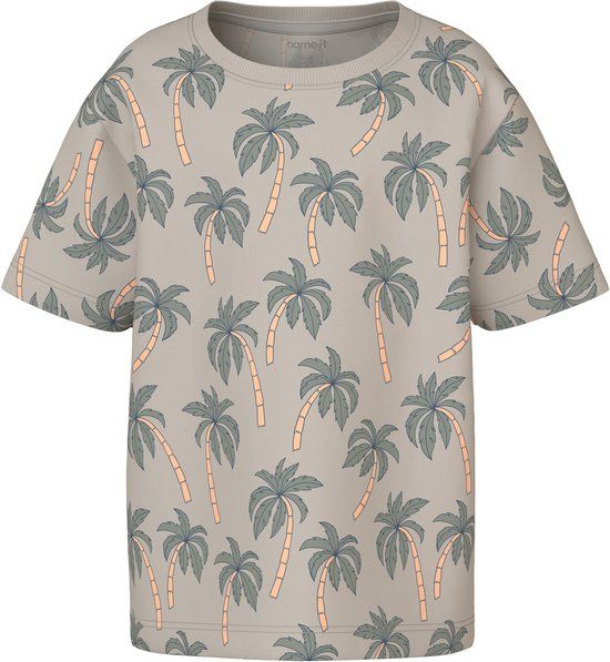 NAME IT NMMVALTHER SS NREG TOP Jongens T-shirt Chateau Gray Katoen Ronde hals Print Maat 104