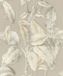 Rasch Back to Nature - 571455