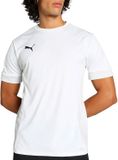 Puma TeamGOAL Matchday Shirt Heren - Maat XL