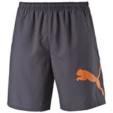PUMA, broek voor heren