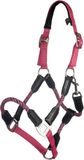 HKM Nele Halster Roze Pony