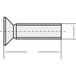 TOOLCRAFT 889768 Vis à tête fraisée M4 12 mm Phillips DIN 965 Acier zingué 1 pièce