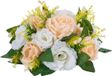 Fleurs à bulbe Champagne 10 pièces