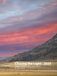 Chasing the Light - 2025: Nature, Wildlife, Streets, and Concerts by Dan Lawyer