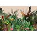 Papier peint panoramique forêt tropicale