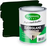 Koopmans Zijdeglans 511 Standgroen-0,75 Ltr