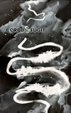 Corpus Fugit