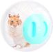 Holland Connections Ballon de gymnastique pour hamsters et petits animaux de compagnie - 14,5 cm (Bleu)