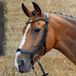 Harry's Horse Hoofdstel Anatomic Black Crystal Cob Zwart
